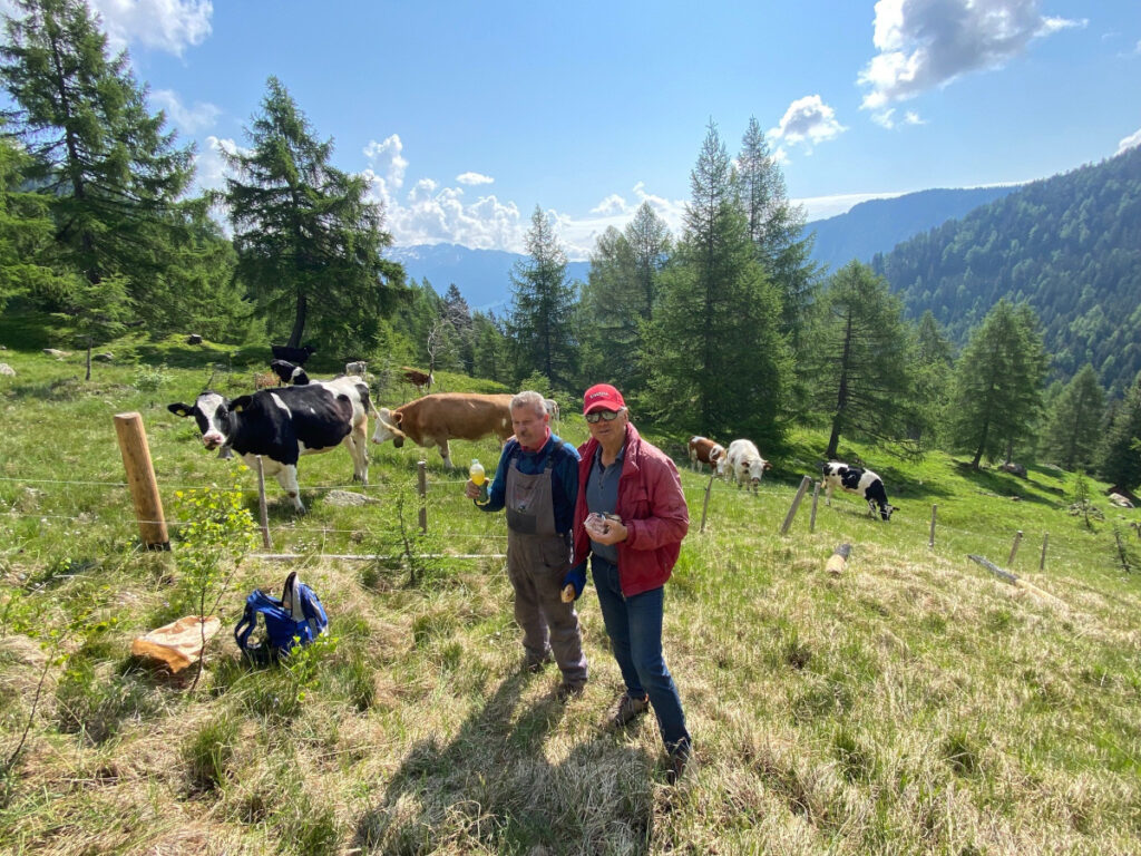 Auf der hofeigenen Alm des Ferienhofs Thumburg